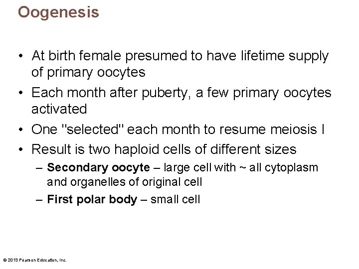 Oogenesis • At birth female presumed to have lifetime supply of primary oocytes •
