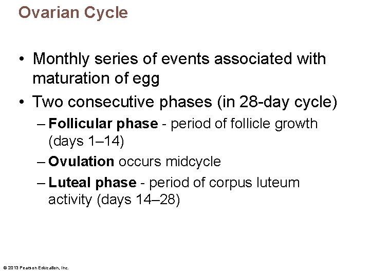 Ovarian Cycle • Monthly series of events associated with maturation of egg • Two