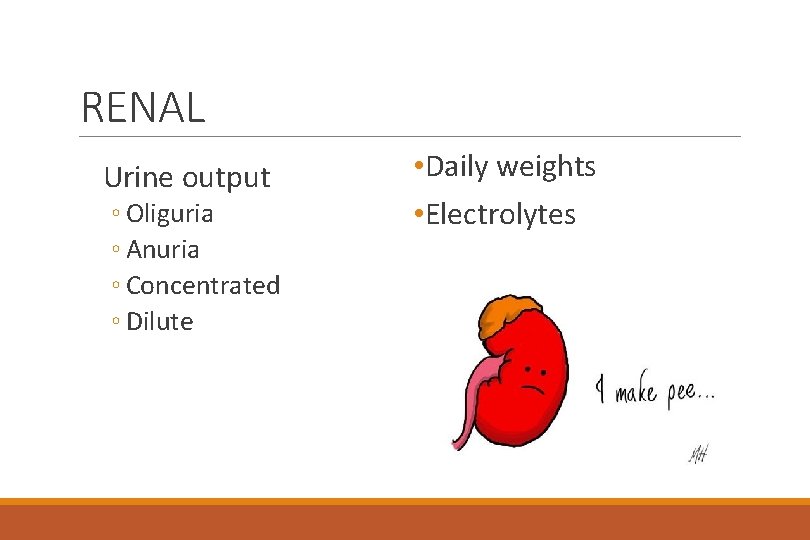 RENAL Urine output ◦ Oliguria ◦ Anuria ◦ Concentrated ◦ Dilute • Daily weights