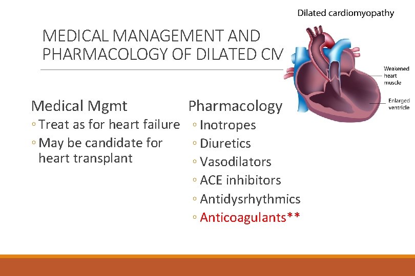 MEDICAL MANAGEMENT AND PHARMACOLOGY OF DILATED CM Medical Mgmt Pharmacology ◦ Treat as for