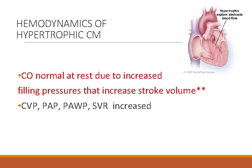 HEMODYNAMICS OF HYPERTROPHIC CM • CO normal at rest due to increased filling pressures