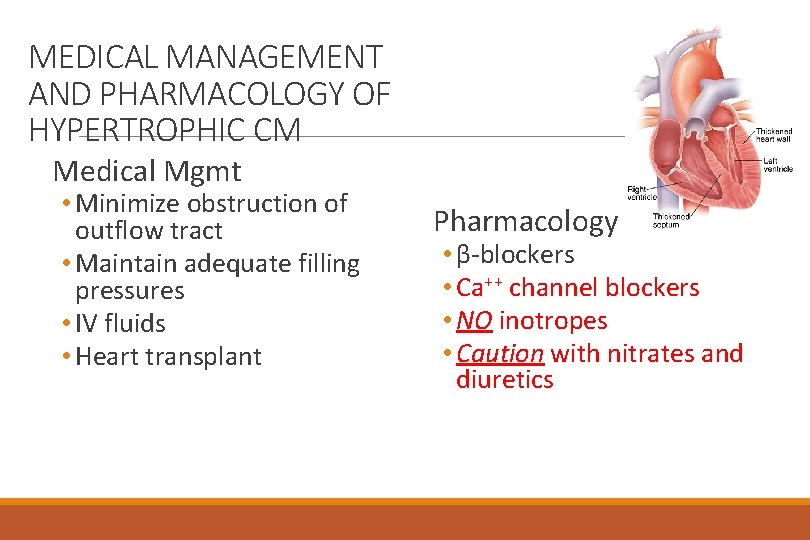 MEDICAL MANAGEMENT AND PHARMACOLOGY OF HYPERTROPHIC CM Medical Mgmt • Minimize obstruction of outflow