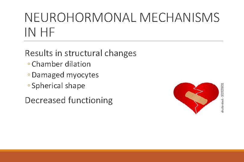 NEUROHORMONAL MECHANISMS IN HF Results in structural changes ◦ Chamber dilation ◦ Damaged myocytes