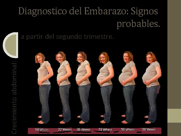 Diagnostico del Embarazo: Signos probables. Crecimiento abdominal: a partir del segundo trimestre. 