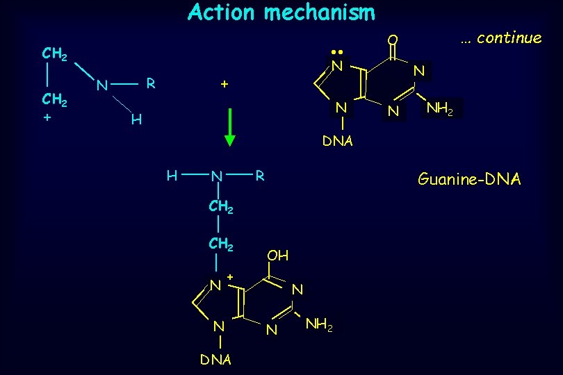 Action mechanism . . CH 2 + N + R N N H …