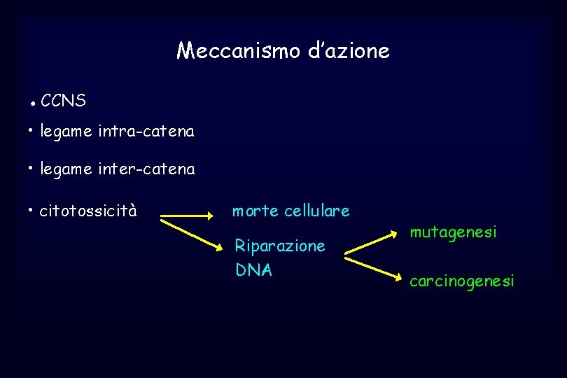 Meccanismo d’azione ● CCNS • legame intra-catena • legame inter-catena • citotossicità morte cellulare