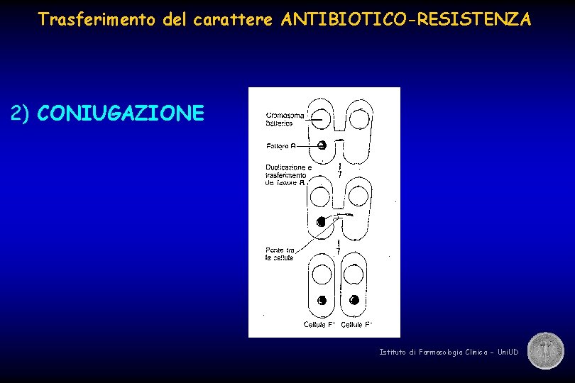 Trasferimento del carattere ANTIBIOTICO-RESISTENZA 2) CONIUGAZIONE Istituto di Farmacologia Clinica - Uni. UD 