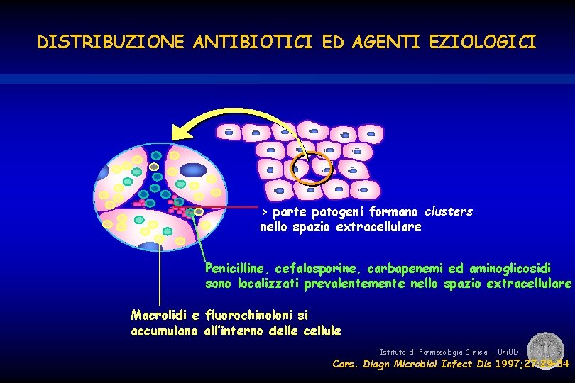 DISTRIBUZIONE ANTIBIOTICI ED AGENTI EZIOLOGICI > parte patogeni formano clusters nello spazio extracellulare Penicilline,