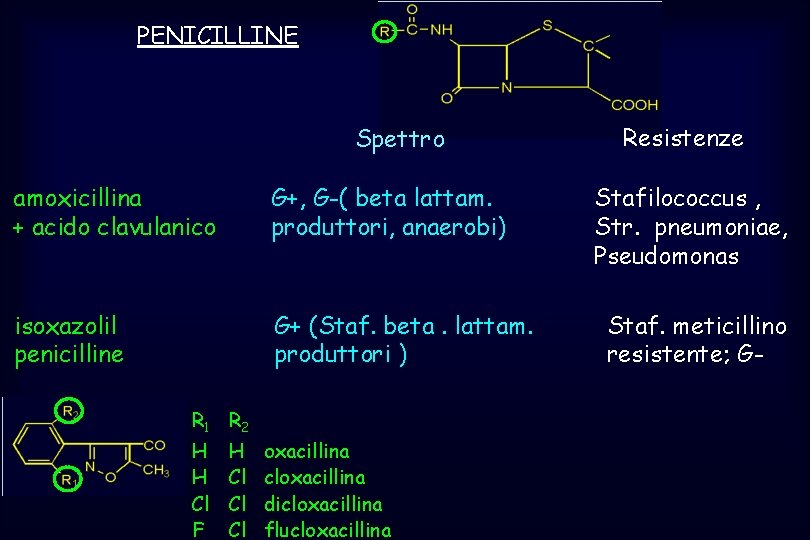 PENICILLINE Spettro amoxicillina + acido clavulanico G+, G-( beta lattam. produttori, anaerobi) isoxazolil penicilline