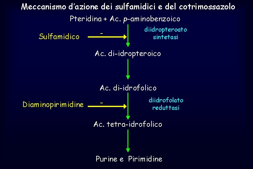 Meccanismo d’azione dei sulfamidici e del cotrimossazolo Pteridina + Ac. p-aminobenzoico Sulfamidico - diidropteroato
