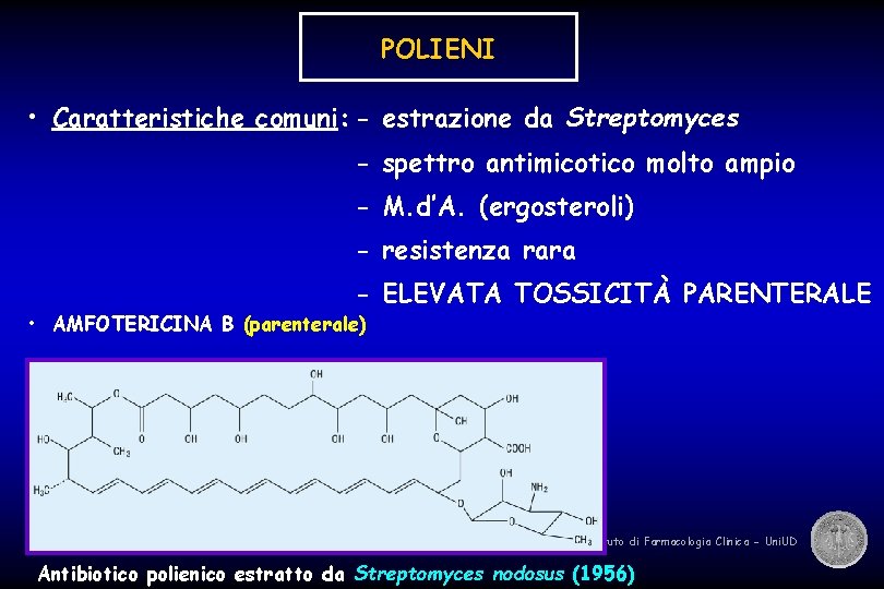 POLIENI • Caratteristiche comuni: - estrazione da Streptomyces - spettro antimicotico molto ampio -