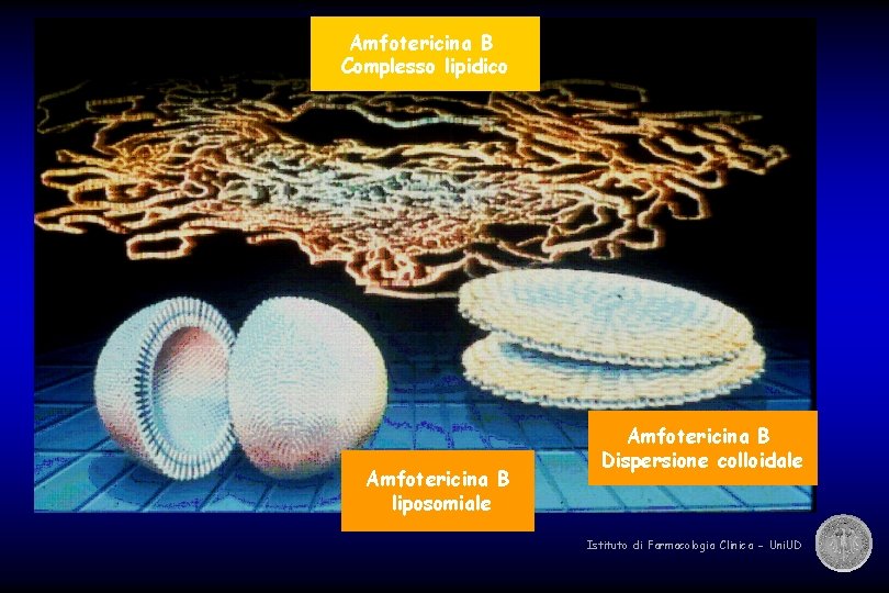 Amfotericina B Complesso lipidico E’ POSSIBILE MIGLIORARE LA TOLLERABILITÀ DELL’ AMFOTERICINA B ? Amfotericina