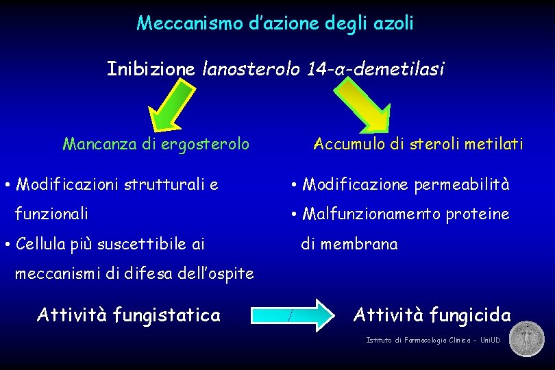 Meccanismo d’azione degli azoli Inibizione lanosterolo 14 -α-demetilasi Mancanza di ergosterolo • Modificazioni strutturali