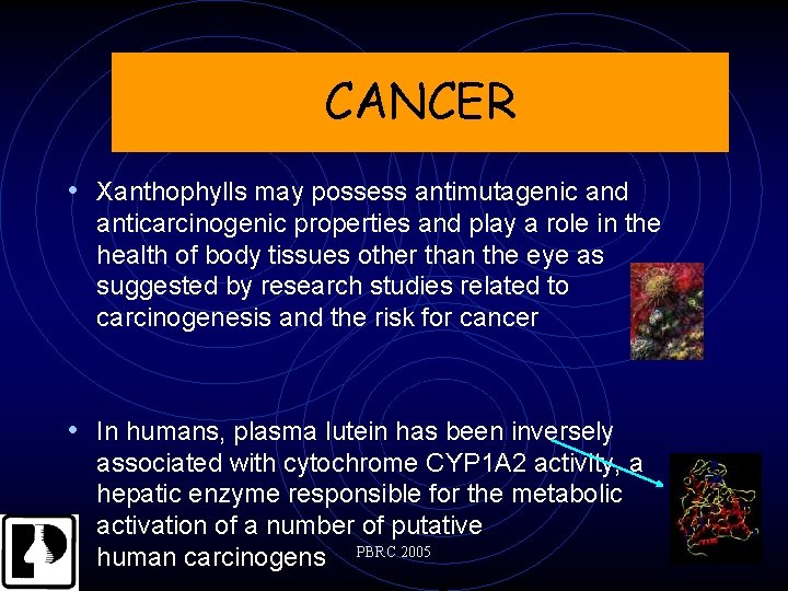CANCER • Xanthophylls may possess antimutagenic and anticarcinogenic properties and play a role in