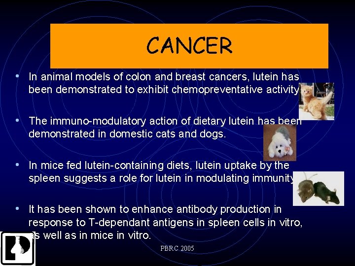 CANCER • In animal models of colon and breast cancers, lutein has been demonstrated