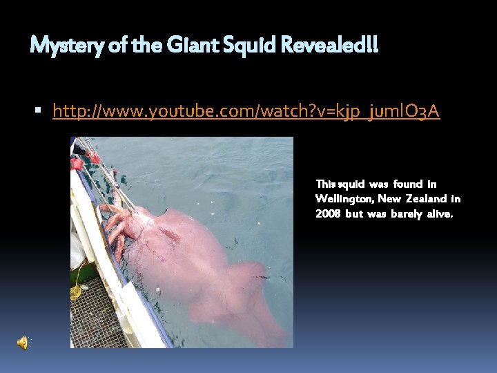 Mystery of the Giant Squid Revealed!! http: //www. youtube. com/watch? v=kjp_juml. O 3 A
