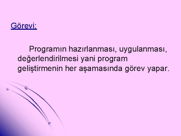 Görevi; Programın hazırlanması, uygulanması, değerlendirilmesi yani program geliştirmenin her aşamasında görev yapar. 