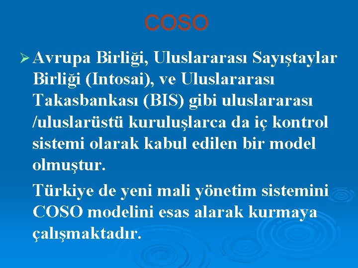 COSO Ø Avrupa Birliği, Uluslararası Sayıştaylar Birliği (Intosai), ve Uluslararası Takasbankası (BIS) gibi uluslararası