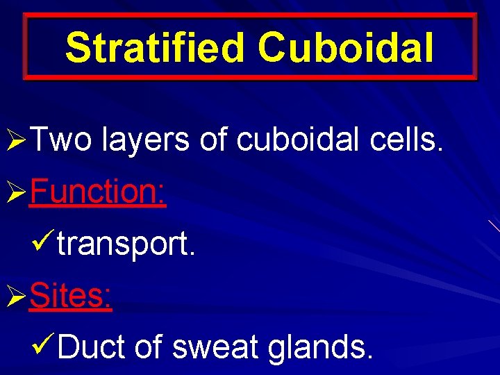 Stratified Cuboidal ØTwo layers of cuboidal cells. ØFunction: ütransport. ØSites: üDuct of sweat glands.