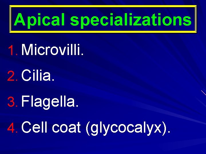 Apical specializations 1. Microvilli. 2. Cilia. 3. Flagella. 4. Cell coat (glycocalyx). 