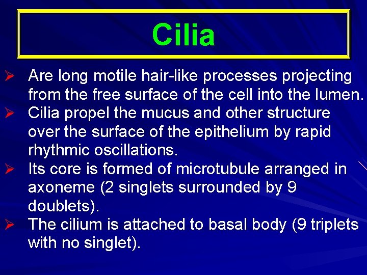 Cilia Ø Are long motile hair-like processes projecting Ø Ø Ø from the free Cilia Ø Are long motile hair-like processes projecting Ø Ø Ø from the free
