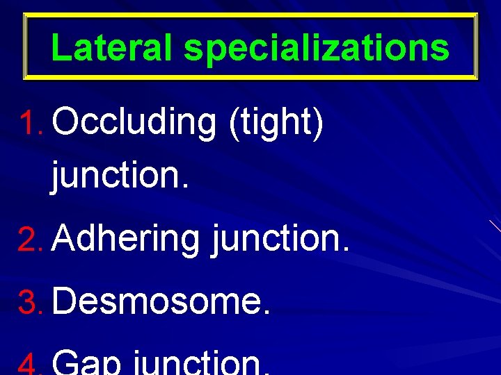 Lateral specializations 1. Occluding (tight) junction. 2. Adhering junction. 3. Desmosome. 