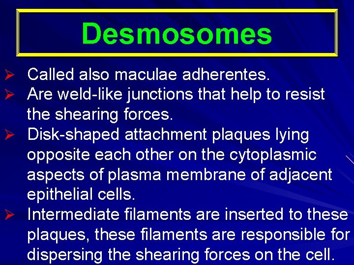 Desmosomes Called also maculae adherentes. Are weld-like junctions that help to resist the shearing