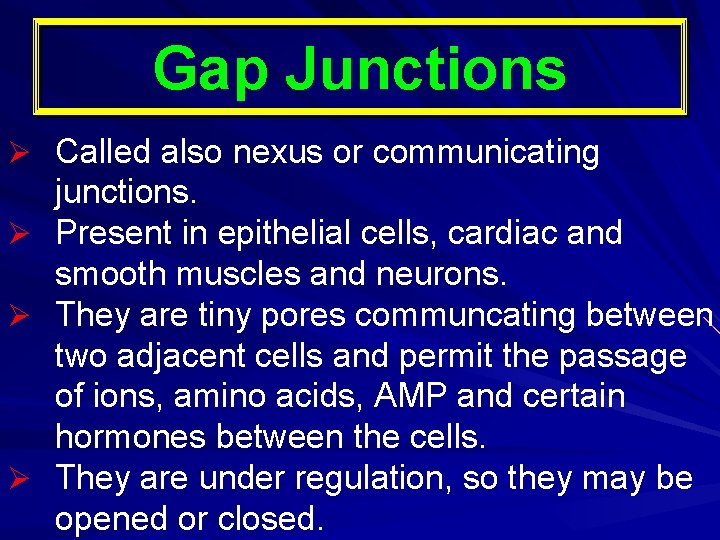 Gap Junctions Ø Called also nexus or communicating junctions. Ø Present in epithelial cells,