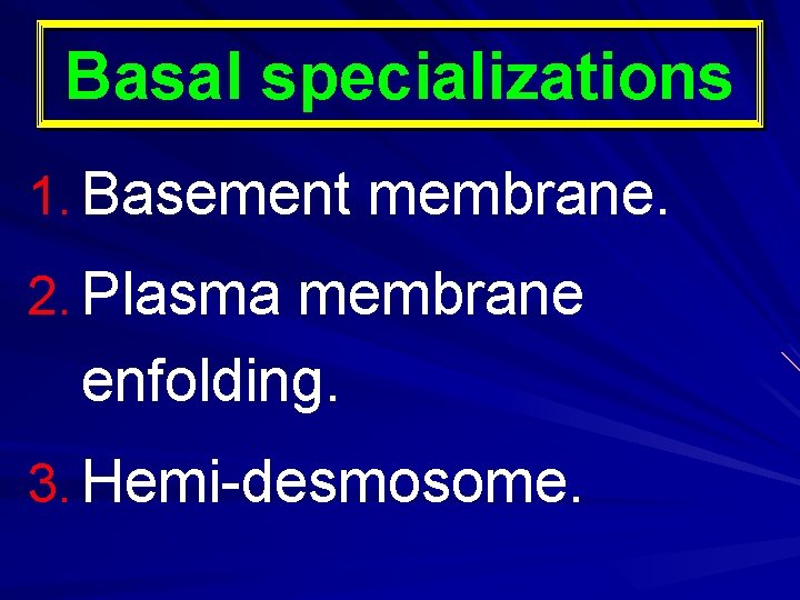 Basal specializations 1. Basement membrane. 2. Plasma membrane enfolding. 3. Hemi-desmosome. 