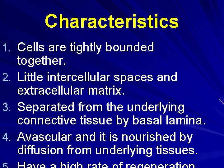 Characteristics 1. Cells are tightly bounded together. 2. Little intercellular spaces and extracellular matrix.