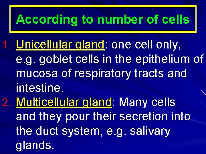 According to number of cells 1. Unicellular gland: one cell only, e. g. goblet