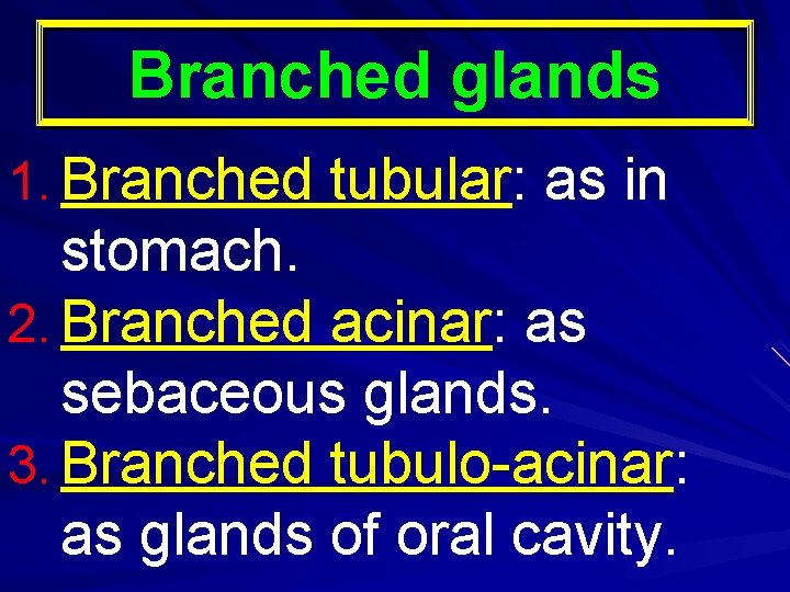 Branched glands 1. Branched tubular: as in stomach. 2. Branched acinar: as sebaceous glands.