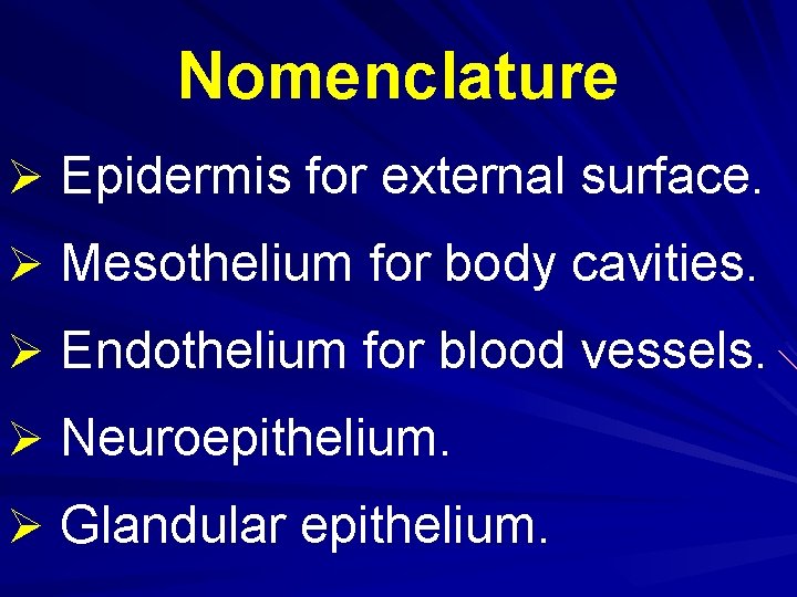 Nomenclature Ø Epidermis for external surface. Ø Mesothelium for body cavities. Ø Endothelium for