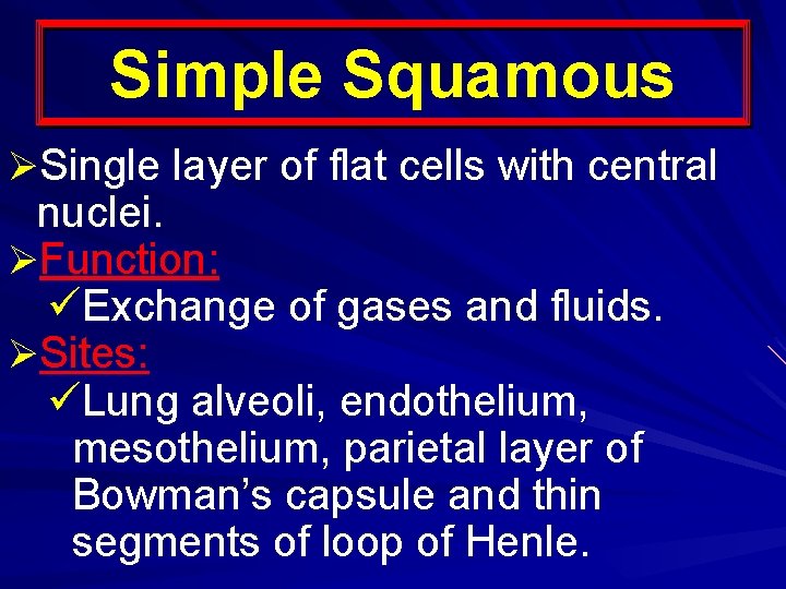 Simple Squamous ØSingle layer of flat cells with central nuclei. ØFunction: üExchange of gases