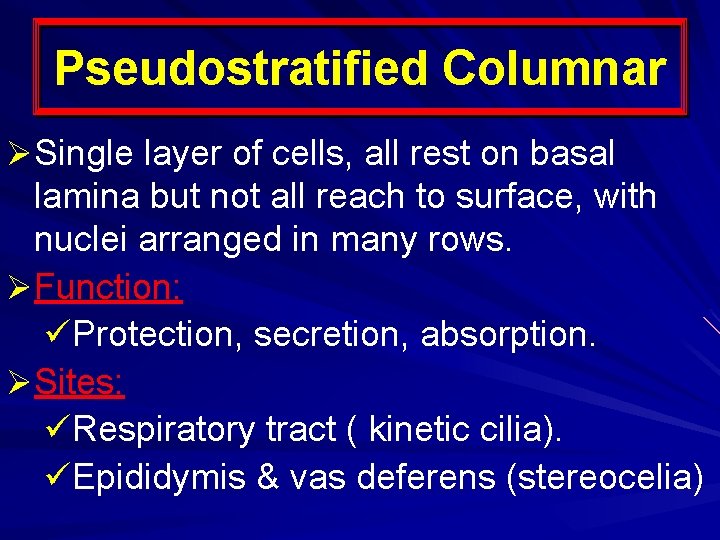 Pseudostratified Columnar ØSingle layer of cells, all rest on basal lamina but not all