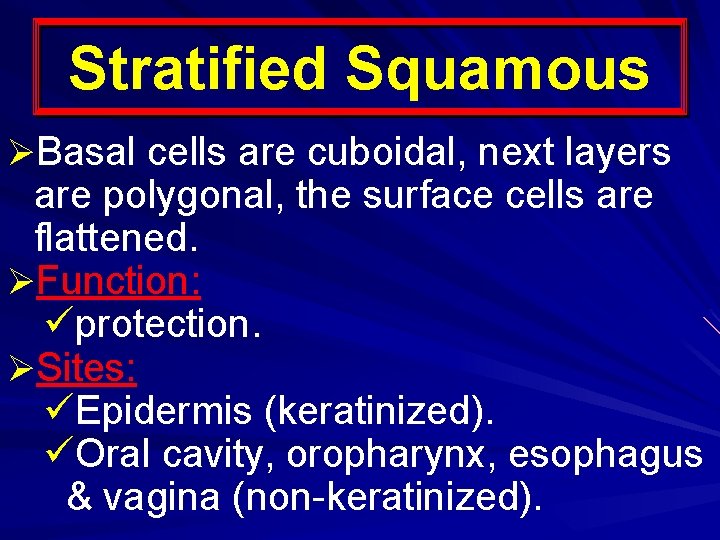 Stratified Squamous ØBasal cells are cuboidal, next layers are polygonal, the surface cells are