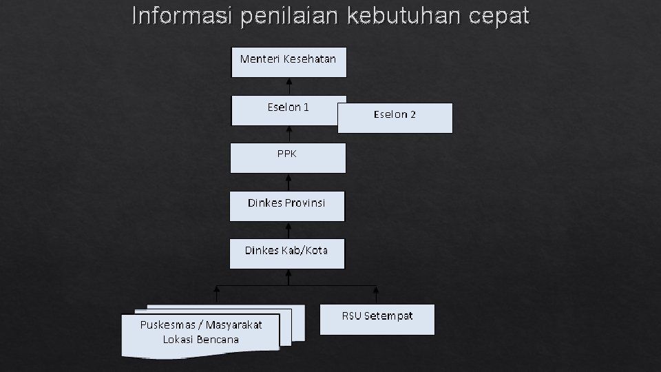 Informasi penilaian kebutuhan cepat 