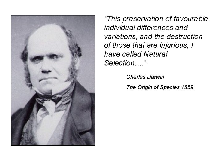 “This preservation of favourable individual differences and variations, and the destruction of those that