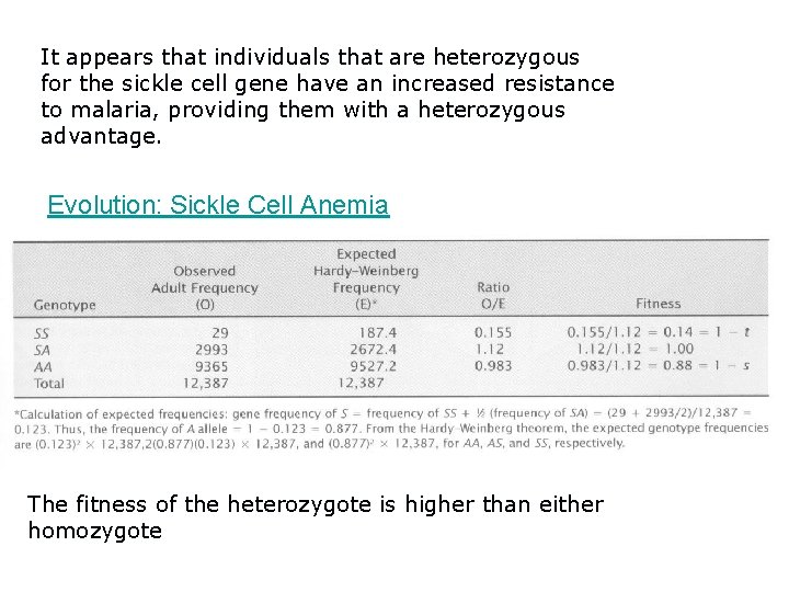 It appears that individuals that are heterozygous for the sickle cell gene have an
