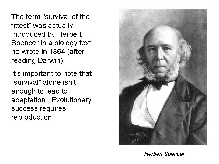 The term “survival of the fittest” was actually introduced by Herbert Spencer in a