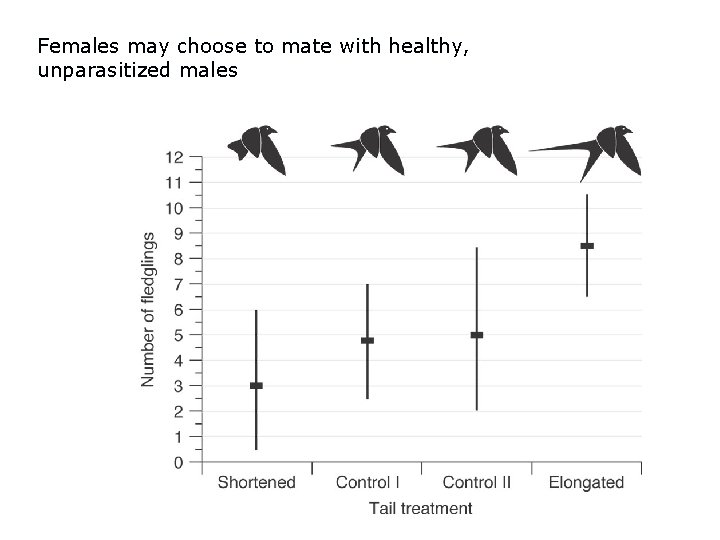 Females may choose to mate with healthy, unparasitized males 