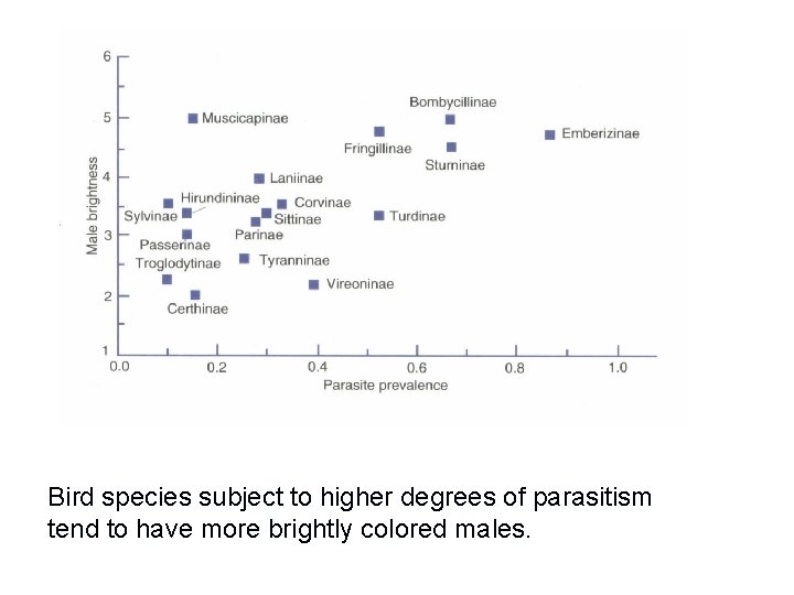 Bird species subject to higher degrees of parasitism tend to have more brightly colored