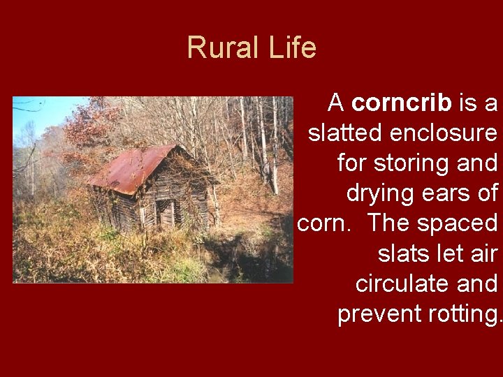 Rural Life A corncrib is a slatted enclosure for storing and drying ears of