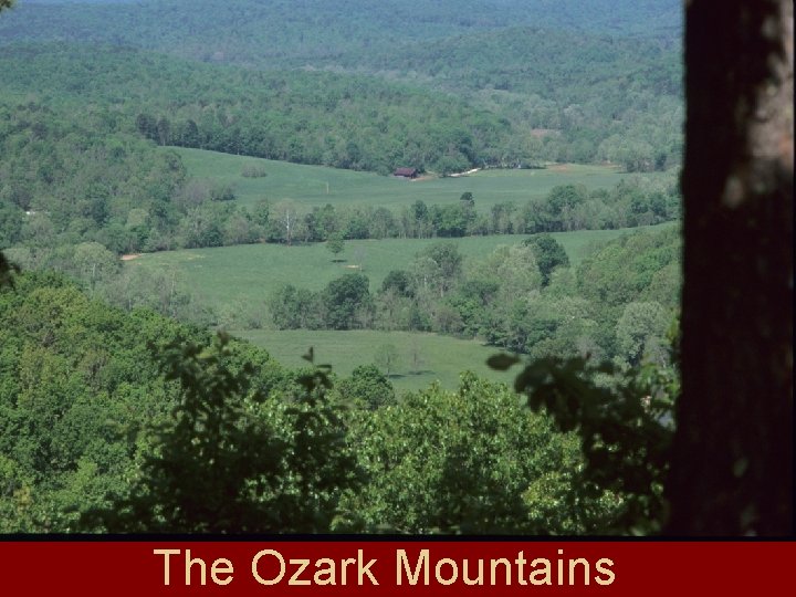 The Ozark Mountains 