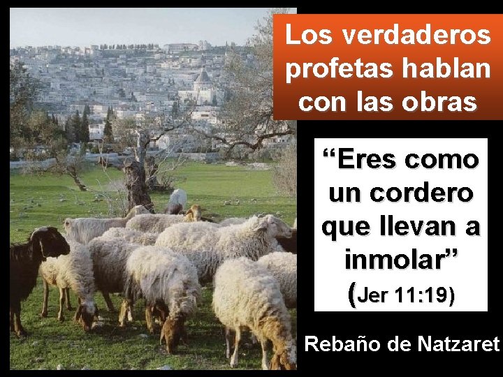 Los verdaderos profetas hablan con las obras “Eres como un cordero que llevan a