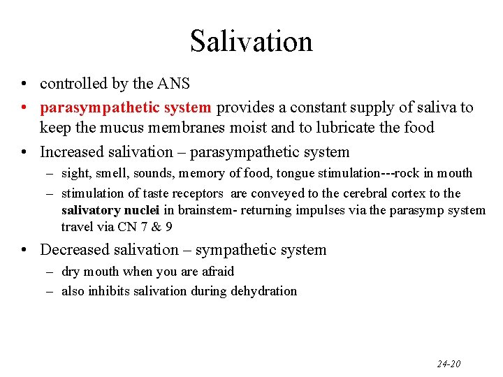 Salivation • controlled by the ANS • parasympathetic system provides a constant supply of