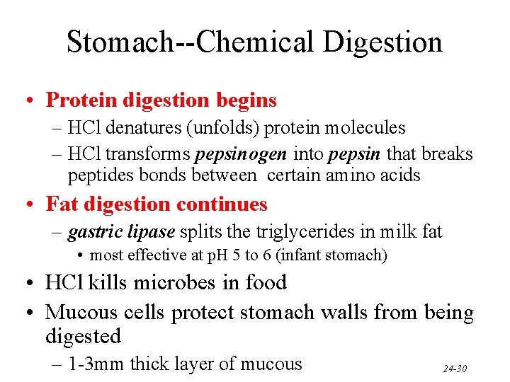 Stomach--Chemical Digestion • Protein digestion begins – HCl denatures (unfolds) protein molecules – HCl