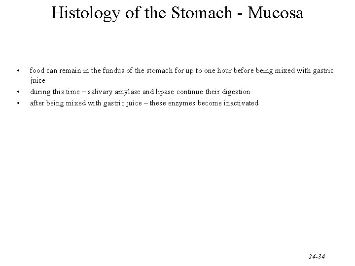 Histology of the Stomach - Mucosa • • • food can remain in the