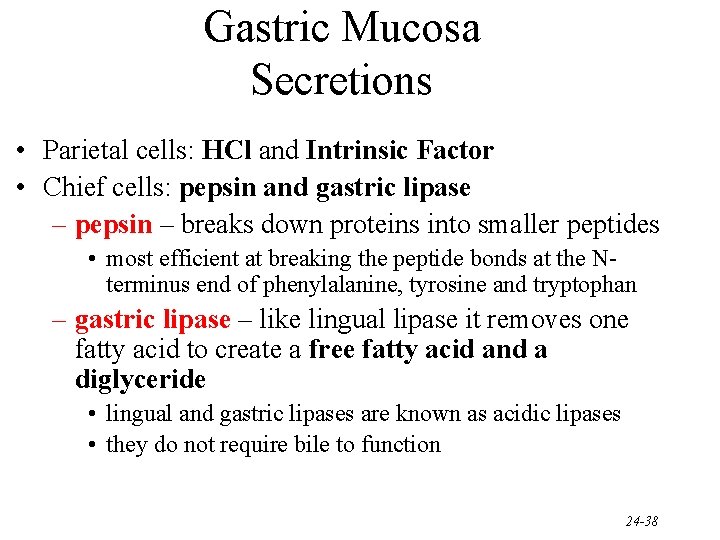 Gastric Mucosa Secretions • Parietal cells: HCl and Intrinsic Factor • Chief cells: pepsin