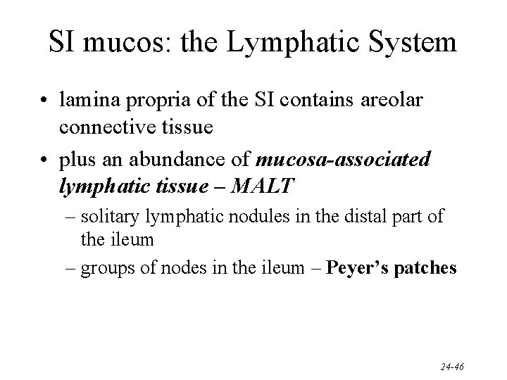 SI mucos: the Lymphatic System • lamina propria of the SI contains areolar connective